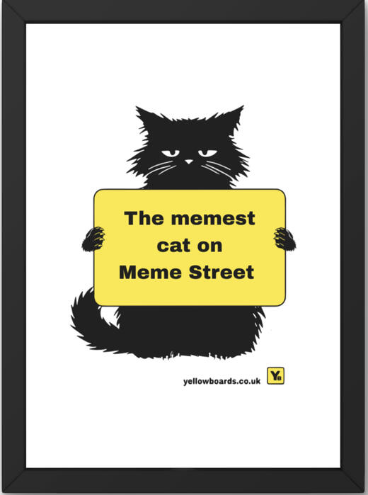 CAT FOR TEXT OVERLAY
